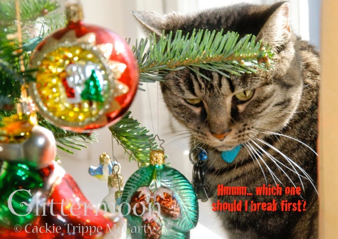 Gabby Breaks It Glittermoon Christmas Card